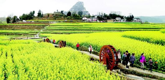 鄉村旅游的“五生”需求