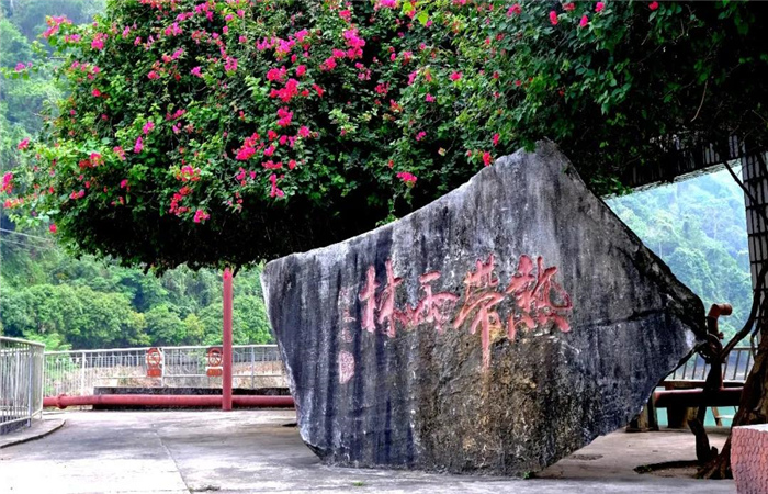 熱帶雨林