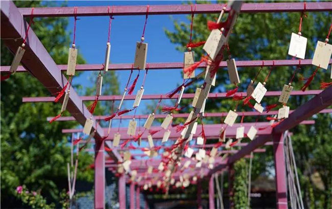 賞花親水、荷塘野趣……楚雄東華濕地公園許你一個繽紛夏日