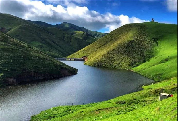 云南露營場地：夏天的大海草山，已經(jīng)美成了天堂！