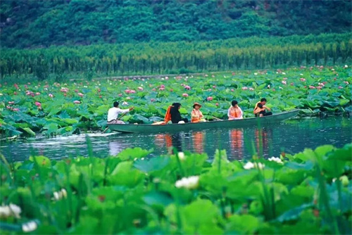 2022普者黑夏令營(yíng)：山水田園，萬(wàn)畝荷花游學(xué)，探訪彝族古村，感知民族文化！