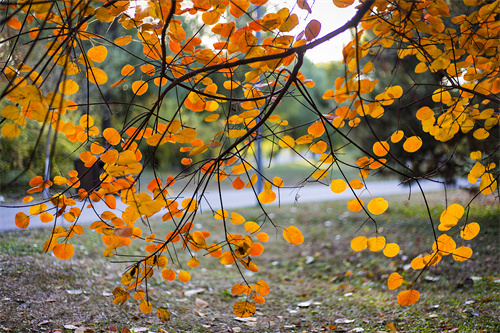 云南文創(chuàng)雪糕火出圈，“雪糕+景點(diǎn)”網(wǎng)紅式打卡驚靚一夏！